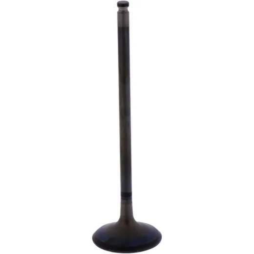 Intake valve (orig spare part) 1013204