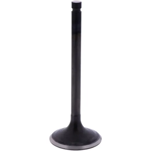 Intake valve (orig spare part) 1013206