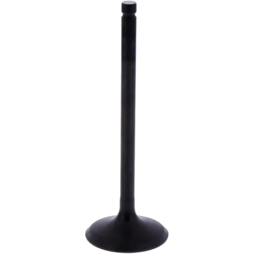 Intake valve (orig spare part) 1013208
