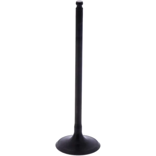Intake valve (orig spare part) 1013214