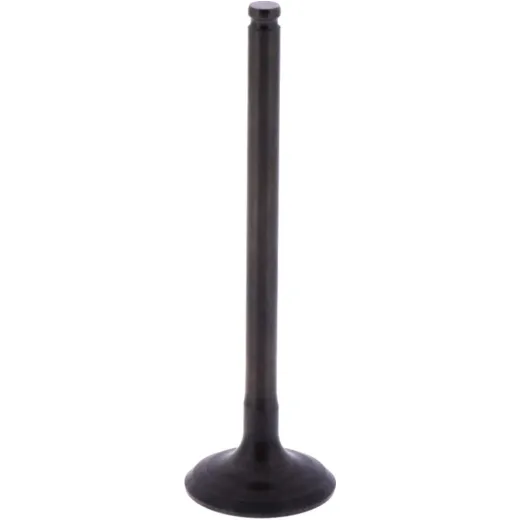 Intake valve 2 (orig spare part) 1013221