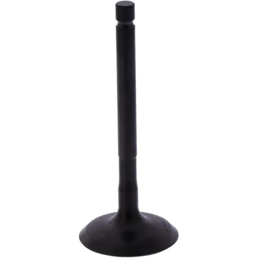 Intake valve (orig spare part) 1013230