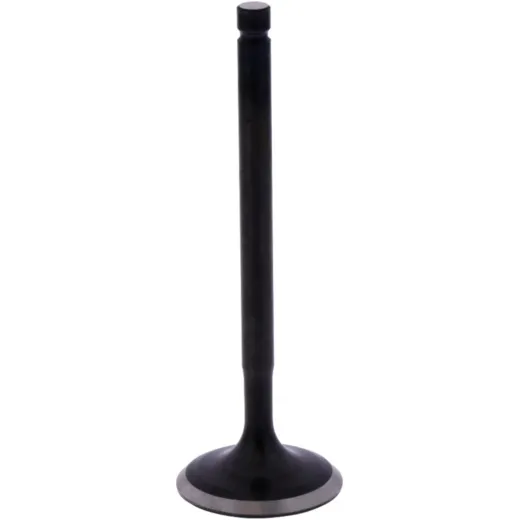 Intake valve (orig spare part) 1013231