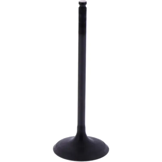 Intake valve (orig spare part) 1013233