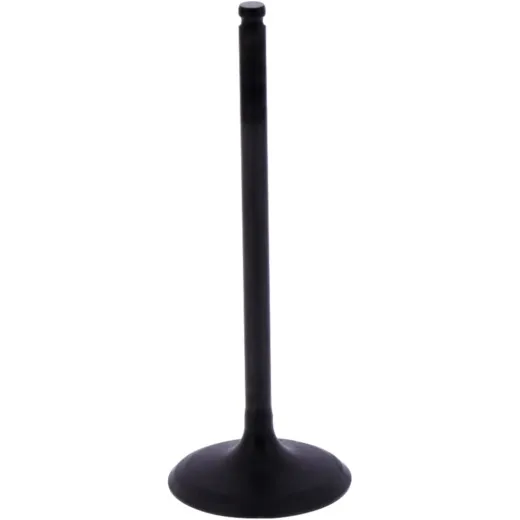 Intake valve (orig spare part) 1013236