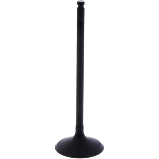 Intake valve (orig spare part) 1013237