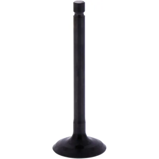 Intake valve (orig spare part) 1013238
