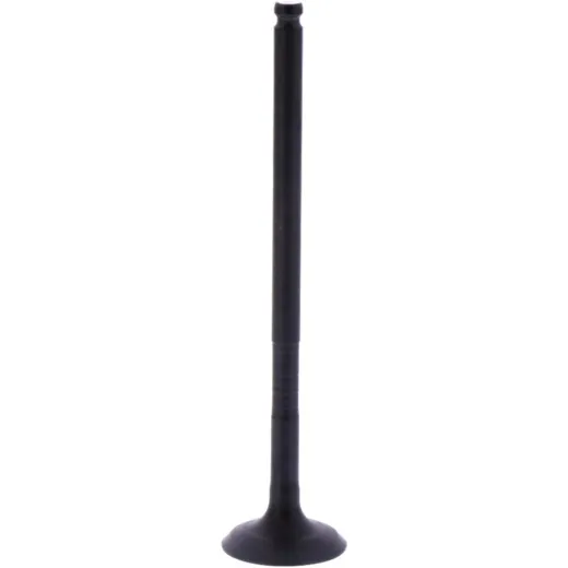 Intake valve (orig spare part) 1013250