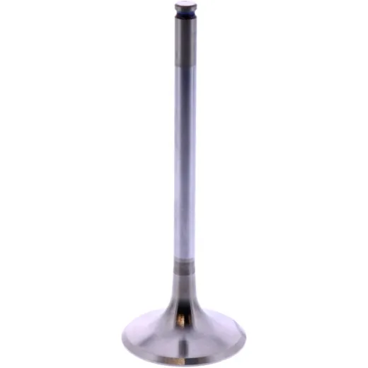 Intake valve (orig spare part) 1105160