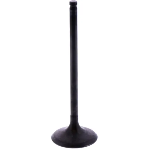 Intake valve (orig spare part) 1105161
