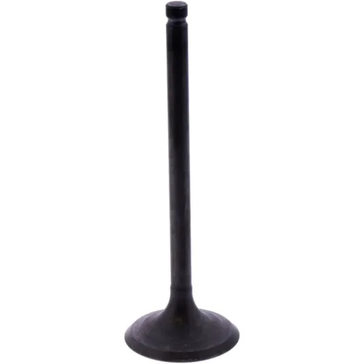 Intake valve (orig spare part) 1105162