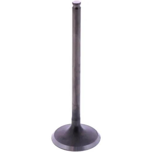 INTAKE VALVE STEEL (OE SPARE PART)