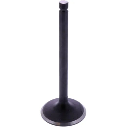 INTAKE VALVE STEEL (OE SPARE PART)