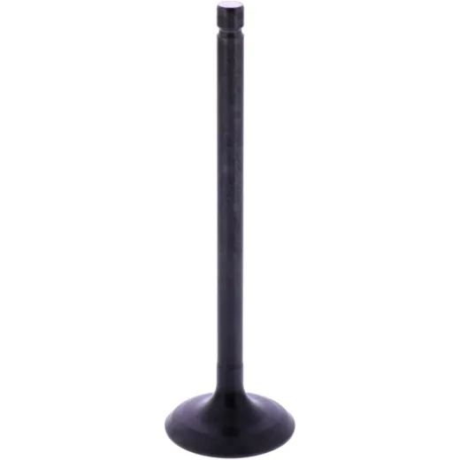 INTAKE VALVE STEEL (OE SPARE PART)