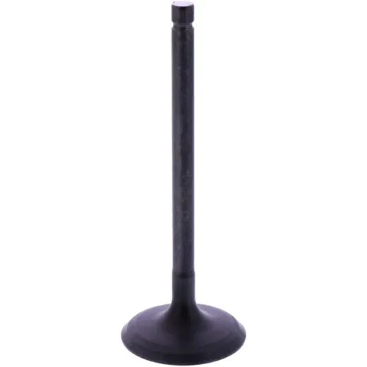 INTAKE VALVE STEEL (OE SPARE PART)