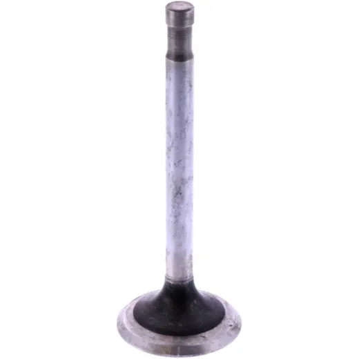 EXHAUST VALVE