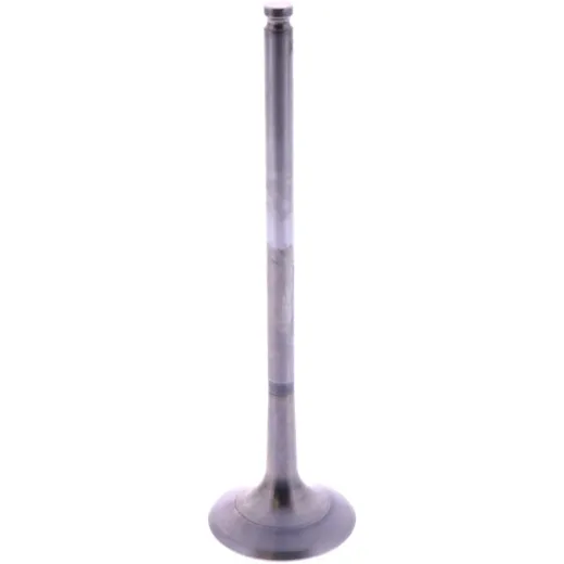 EXHAUST VALVE TITANIUM ATHENA