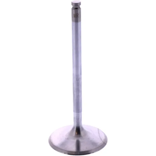 INTAKE VALVE STEEL ATHENA