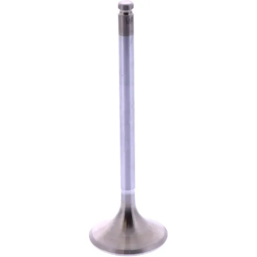 EXHAUST VALVE STEEL ATHENA
