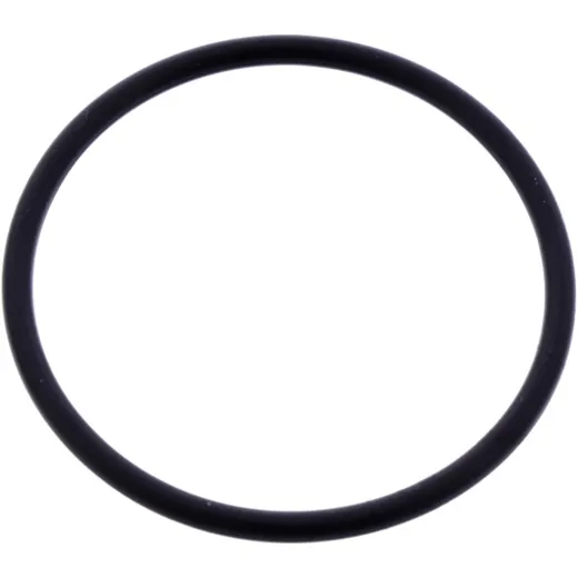 Valve cover gasket o-ring 281840