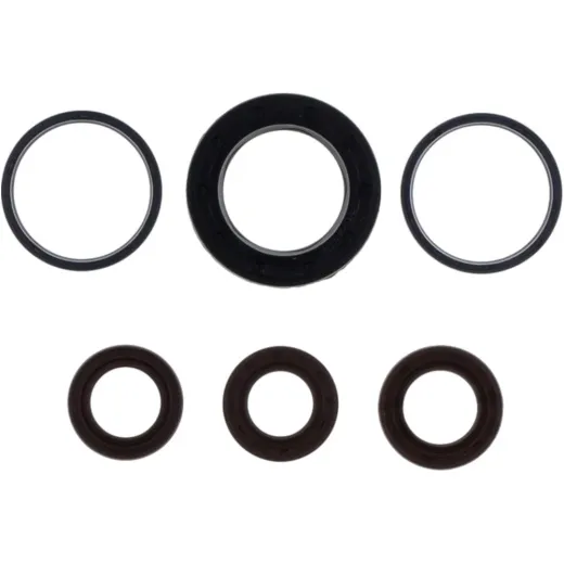 Engine oil seal kit P400480400014