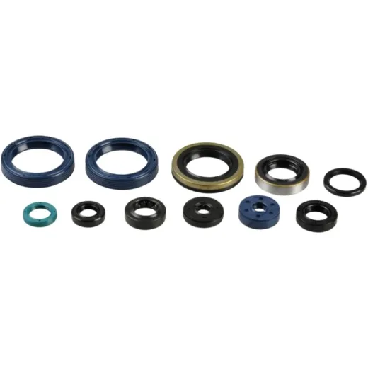 Engine oil seal kit P400250400016
