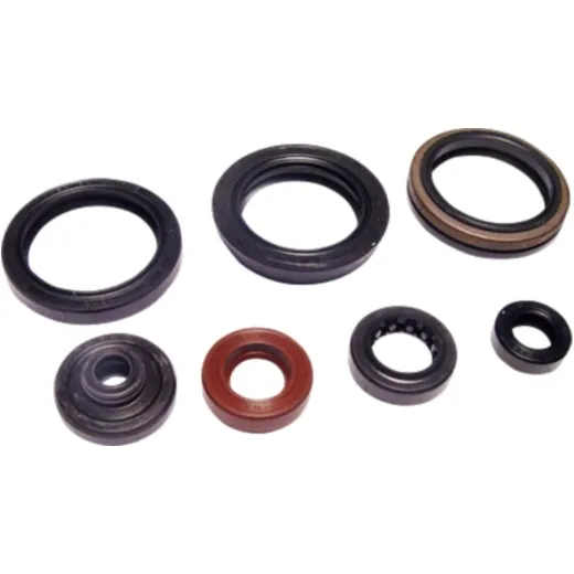 Engine oil seal kit P400510400050