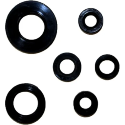 Engine oil seal kit P400485400157
