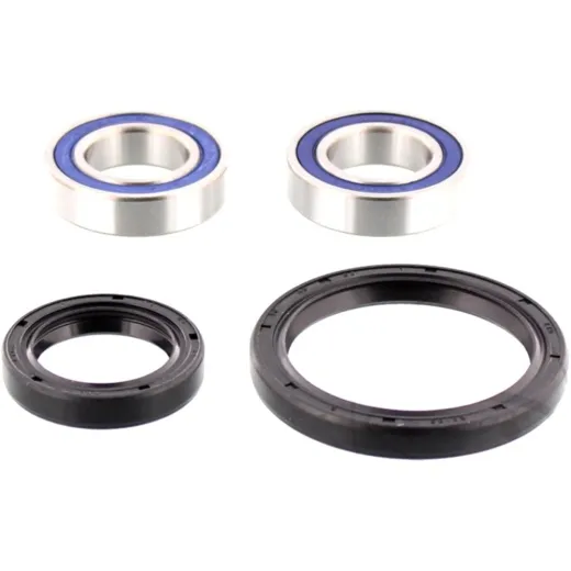 Wheel bearing and seal kit 251521