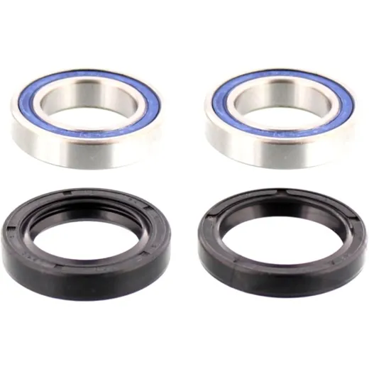 Wheel bearing and seal kit 251661