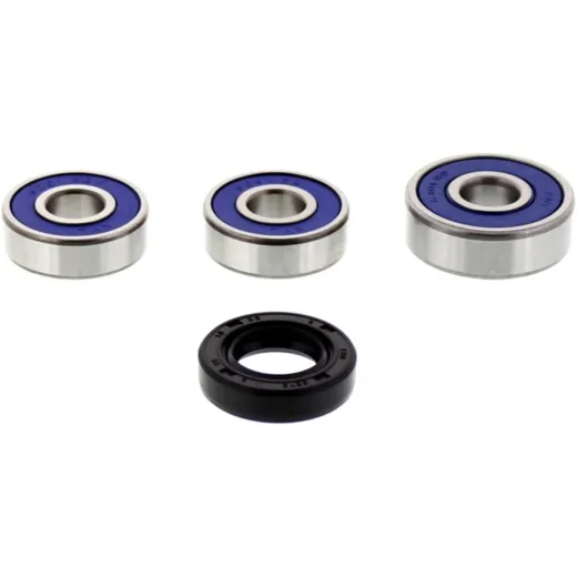 Wheel bearing and seal kit 251167