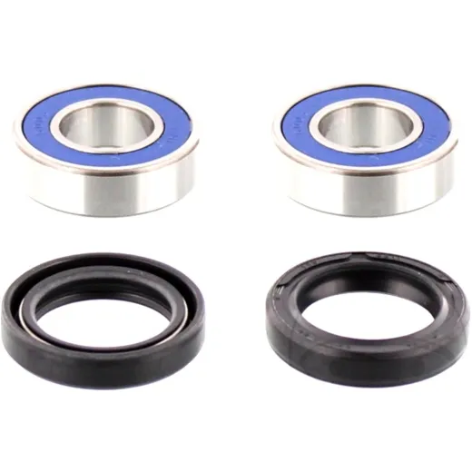 Wheel bearing and seal kit 251063