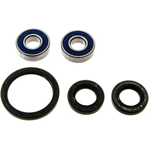Wheel bearing and seal kit 251187