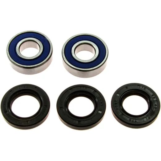 Wheel bearing and seal kit 251211