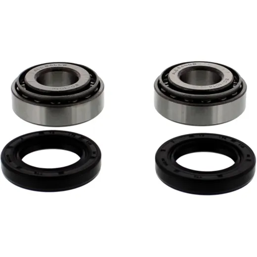 Wheel bearing and seal kit 251001