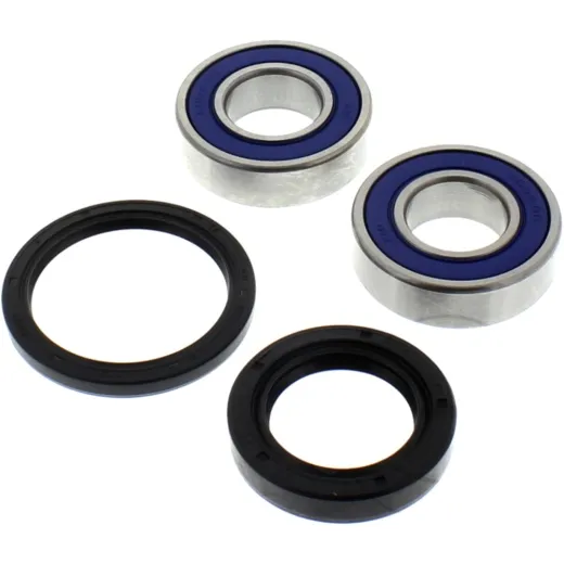 Wheel bearing and seal kit 251071