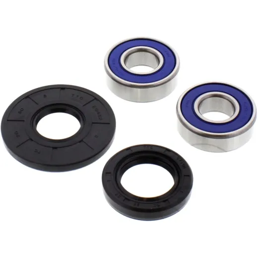 Wheel bearing and seal kit 251073