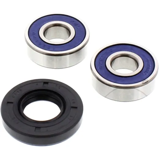Wheel bearing and seal kit 251173
