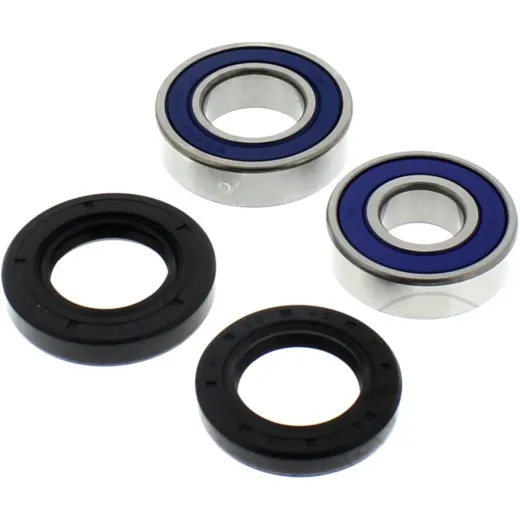 Wheel bearing and seal kit 251226