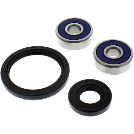 Wheel bearing and seal kit 251302