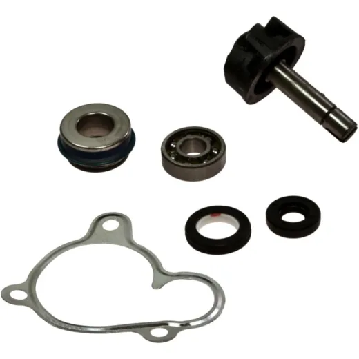 Water pump repair kit 100110270