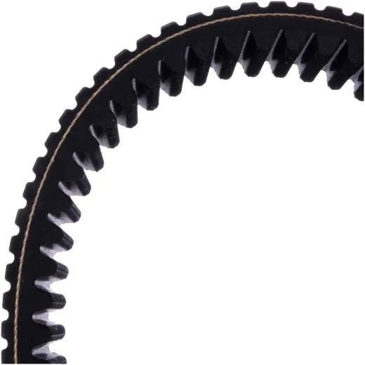 Drive belt 39x1122 dayco