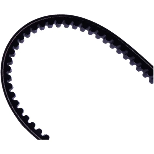 Keilriemen JT Belt Standard 1212683