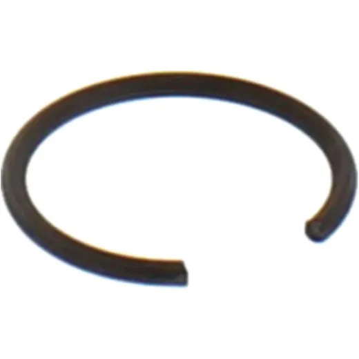 Sicherungsring