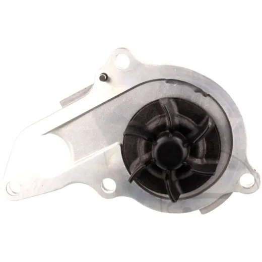 Water pump 1740029F00000