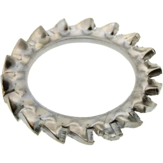Federringe (orig spare part) AP0845530