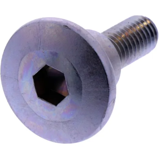VALVE COVER BOLT (OE SPARE PART)