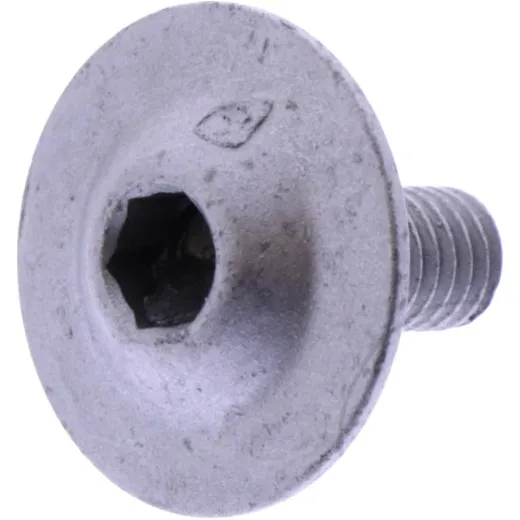 VALVE COVER BOLT (OE SPARE PART)