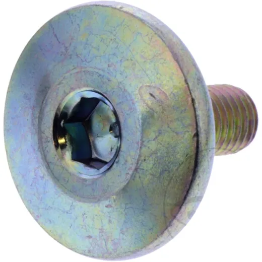 VALVE COVER BOLT (OE SPARE PART)