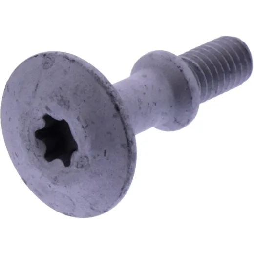 VALVE COVER BOLT (OE SPARE PART)
